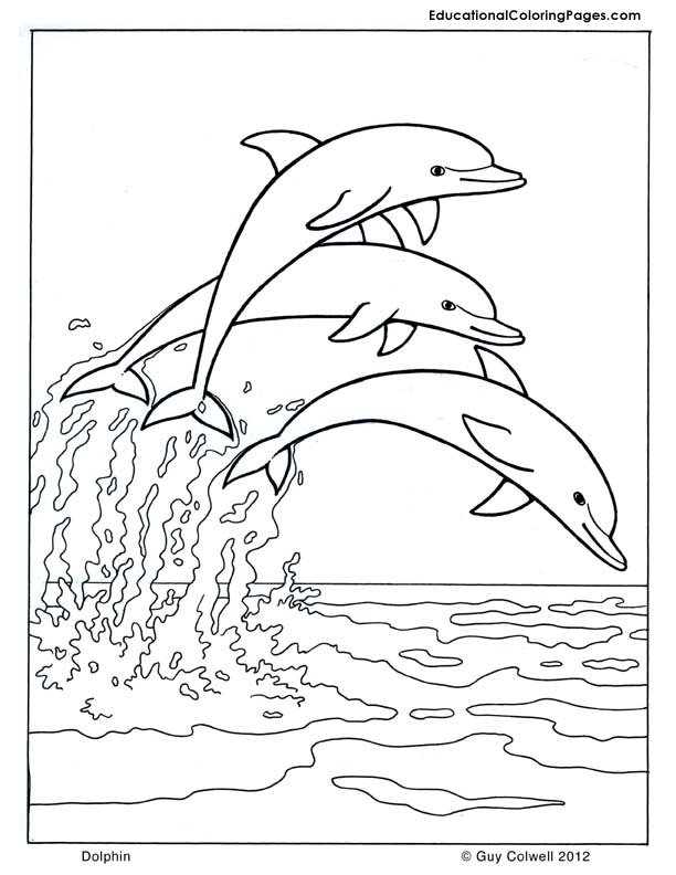 Dolphin coloring Animal Coloring Pages for Kids