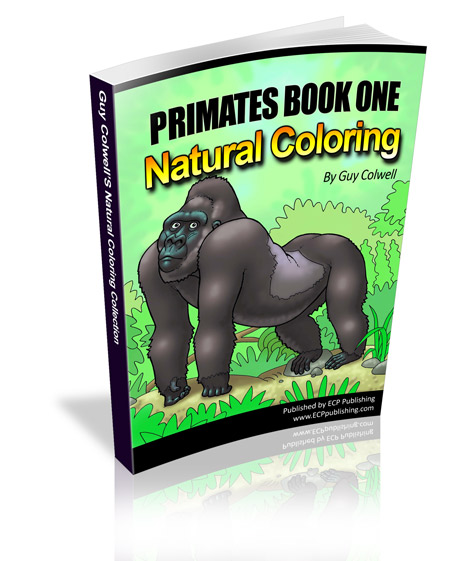 primates colouring book