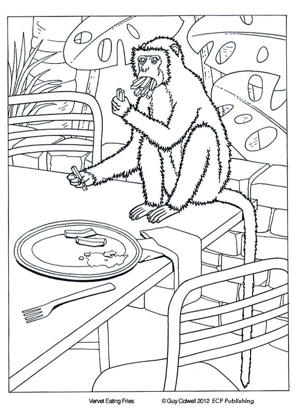 monkey colouring pages