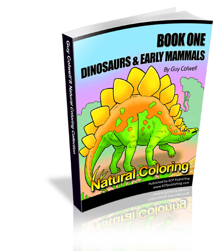 dinosaur colouring book one