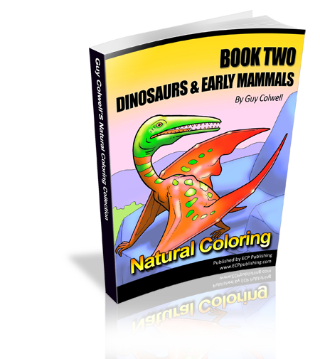 dinosaur colouring book two