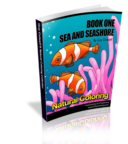 Sea and Seashore Colouring Book One,