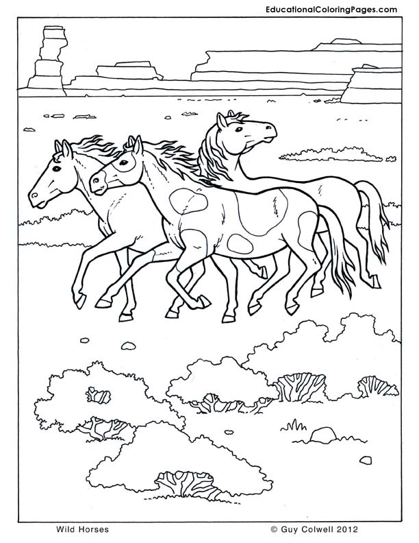 horse coloring, wild horse coloring